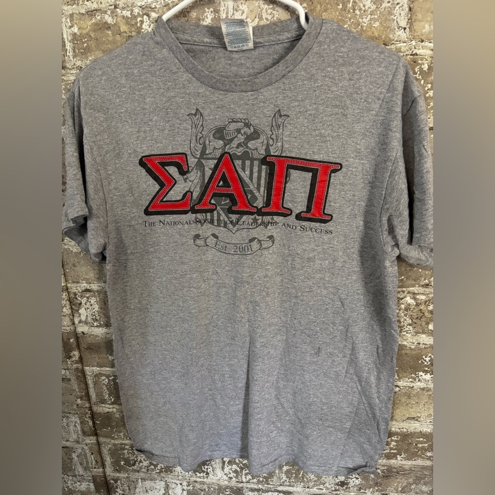 Gray Graphic T-Shirt